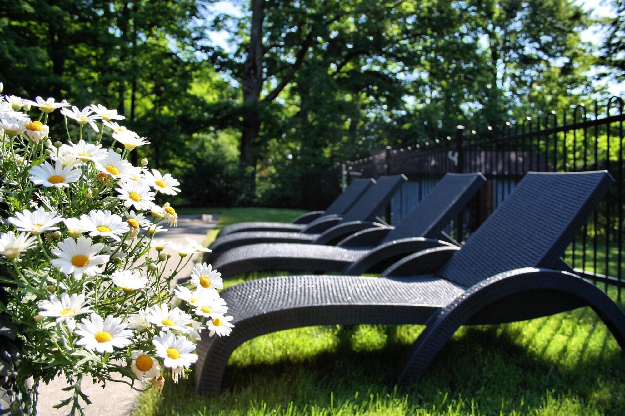 Domaine Jolivent Hotel Лак-Бром Екстериор снимка